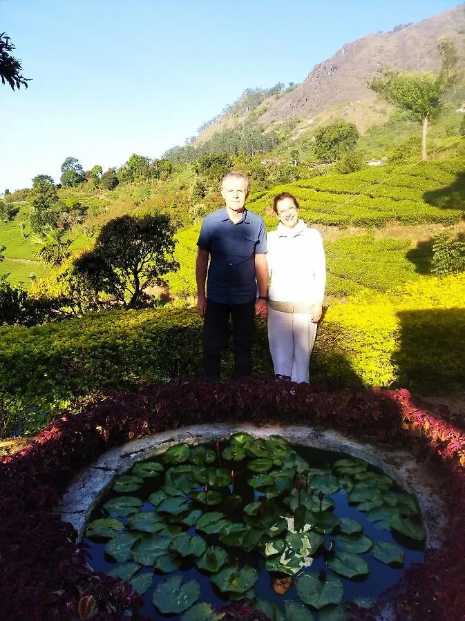 Blackcherry Munnar Bed & Breakfast